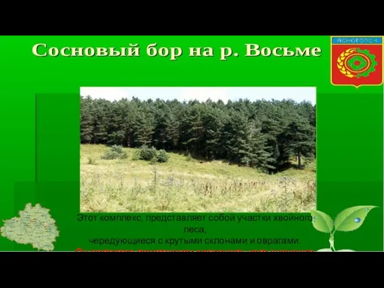 Этот комплекс, представляет собой участки хвойного леса, чередующиеся с крутыми склонами и