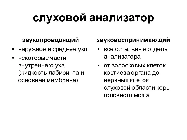 слуховой анализатор звукопроводящий наружное и среднее ухо некоторые части внутреннего уха (жидкость