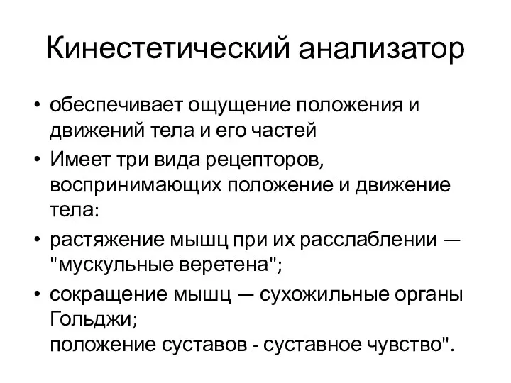 Кинестетический анализатор обеспечивает ощущение положения и движений тела и его частей Имеет