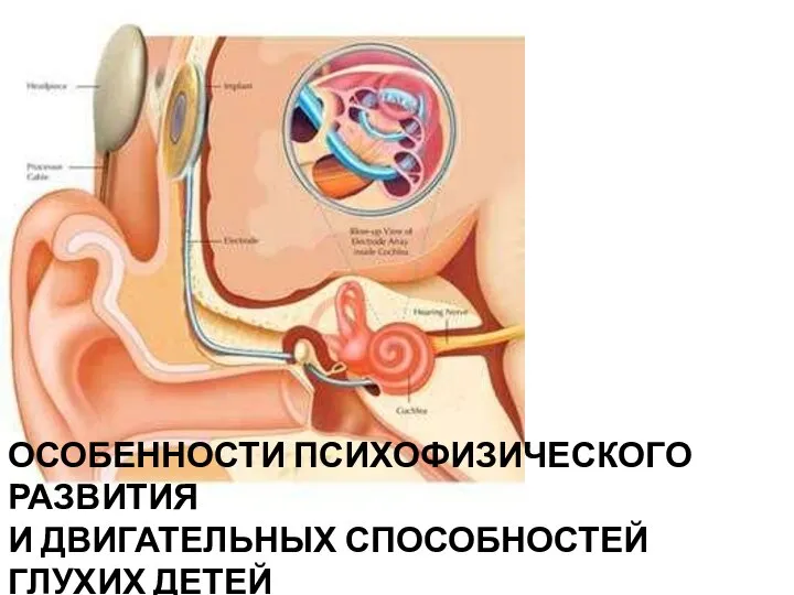 ОСОБЕННОСТИ ПСИХОФИЗИЧЕСКОГО РАЗВИТИЯ И ДВИГАТЕЛЬНЫХ СПОСОБНОСТЕЙ ГЛУХИХ ДЕТЕЙ