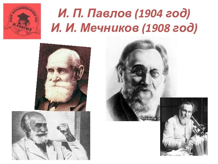 И. П. Павлов (1904 год) И. И. Мечников (1908 год)