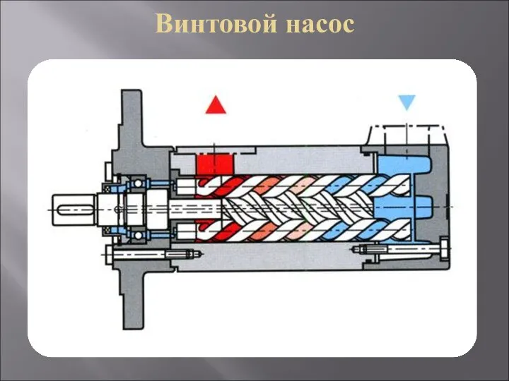 Винтовой насос