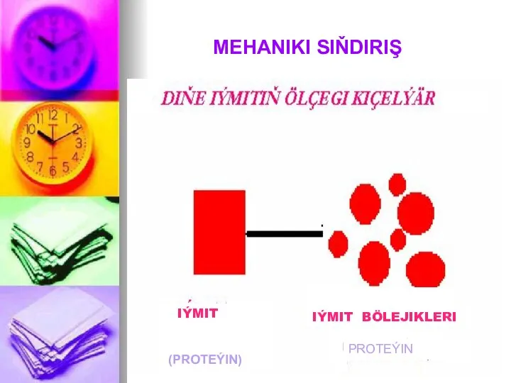 MEHANIKI SIŇDIRIŞ IÝMIT (PROTEÝIN) IÝMIT BÖLEJIKLERI PROTEÝIN