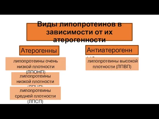 Виды липопротеинов в зависимости от их атерогенности Атерогенные Антиатерогенные липопротеины низкой плотности