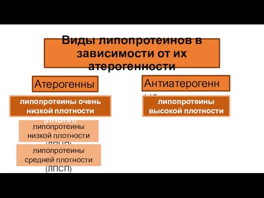 Виды липопротеинов в зависимости от их атерогенности Атерогенные Антиатерогенные липопротеины низкой плотности