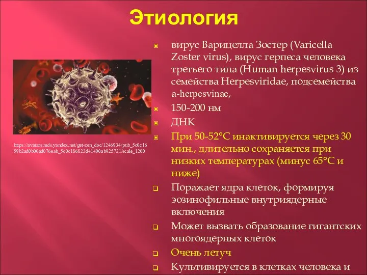 Этиология вирус Варицелла Зостер (Varicella Zoster virus), вирус герпеса человека третьего типа