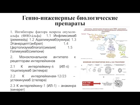 Генно-инженерные биологические препараты 1. Ингибиторы фактора некроза опухоли-альфа (ФНО-àльфа) 1.1 Инфликсимаб(ремикейд) 1.2