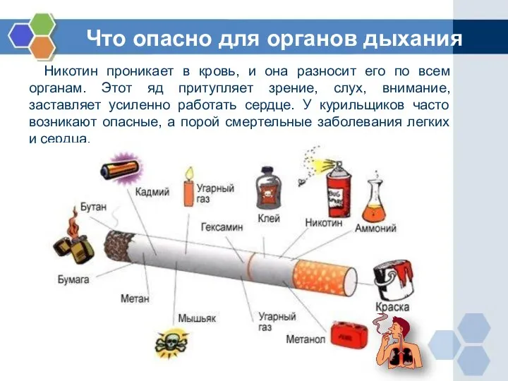 Что опасно для органов дыхания Никотин проникает в кровь, и она разносит