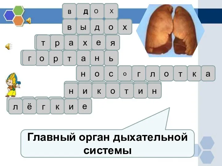 Главный орган дыхательной системы