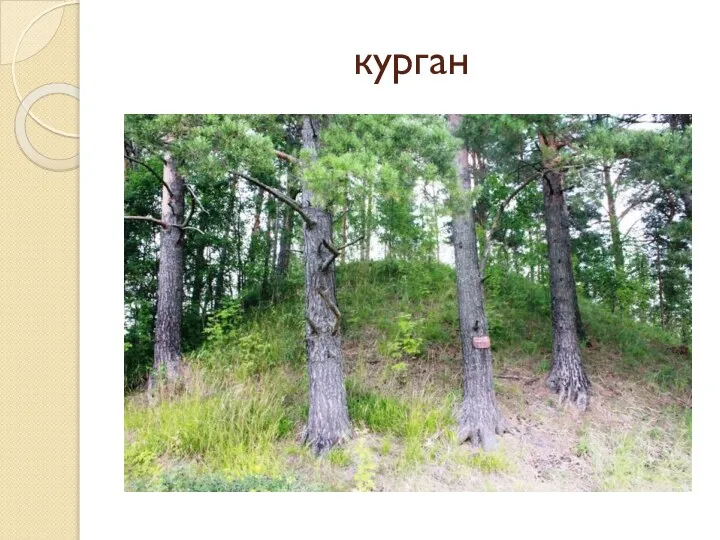 курган