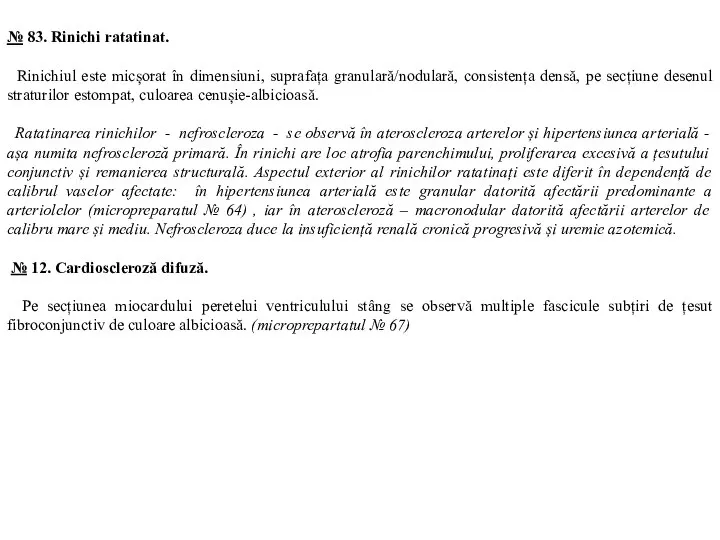 № 83. Rinichi ratatinat. Rinichiul este micșorat în dimensiuni, suprafața granulară/nodulară, consistența