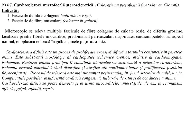 № 67. Cardioscleroză microfocală aterosclerotică. (Coloraţie cu picrofuxină (metoda van Gieson)). Indicaţii: