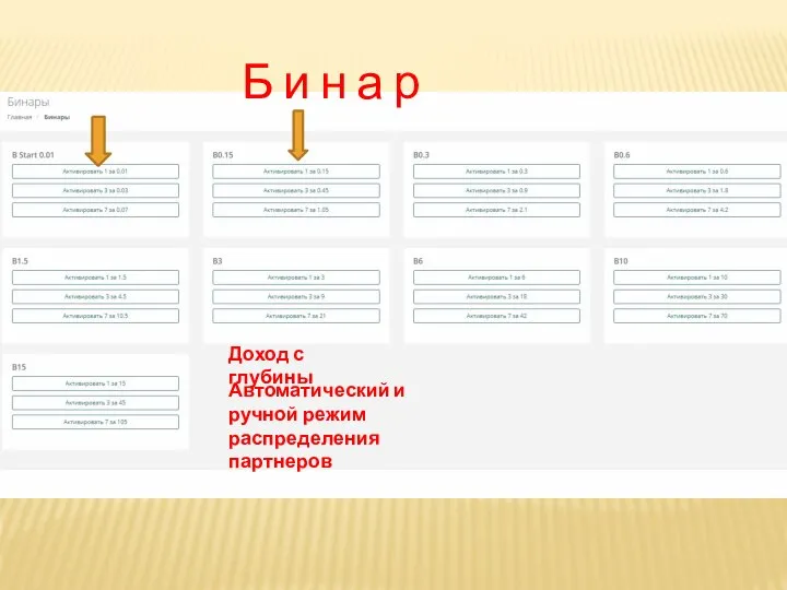 Б и н а р Доход с глубины Автоматический и ручной режим распределения партнеров