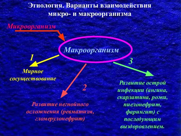 Этиология. Варианты взаимодействия микро- и макроорганизма Макроорганизм Микроорганизм Мирное сосуществование Развитие острой