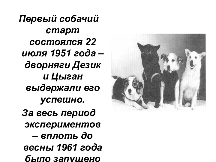 Первый собачий старт состоялся 22 июля 1951 года – дворняги Дезик и