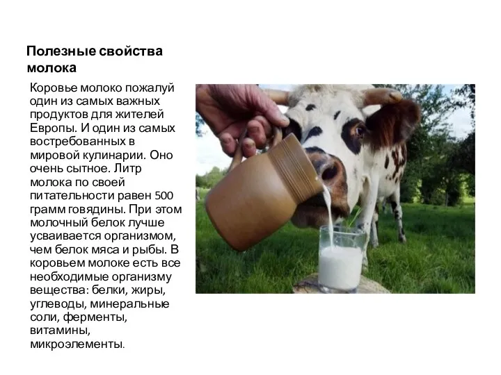 Полезные свойства молока Коровье молоко пожалуй один из самых важных продуктов для