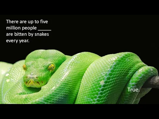 There are up to five million people _____ are bitten by snakes every year. True.
