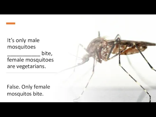 It’s only male mosquitoes ___________ bite, female mosquitoes are vegetarians. False. Only female mosquitos bite.