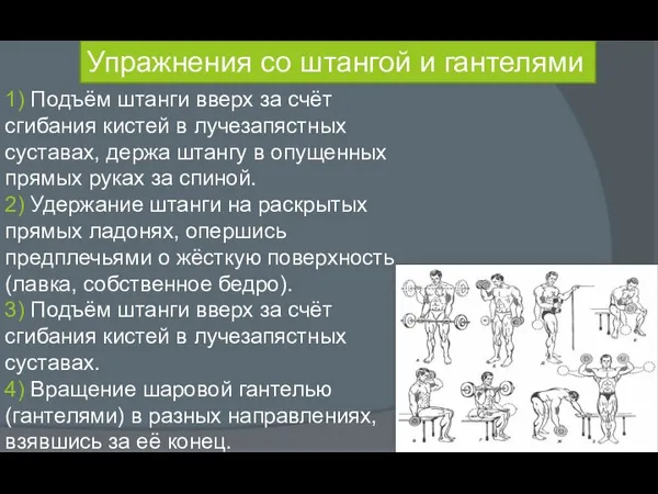 1) Подъём штанги вверх за счёт сгибания кистей в лучезапястных суставах, держа