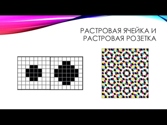 РАСТРОВАЯ ЯЧЕЙКА И РАСТРОВАЯ РОЗЕТКА