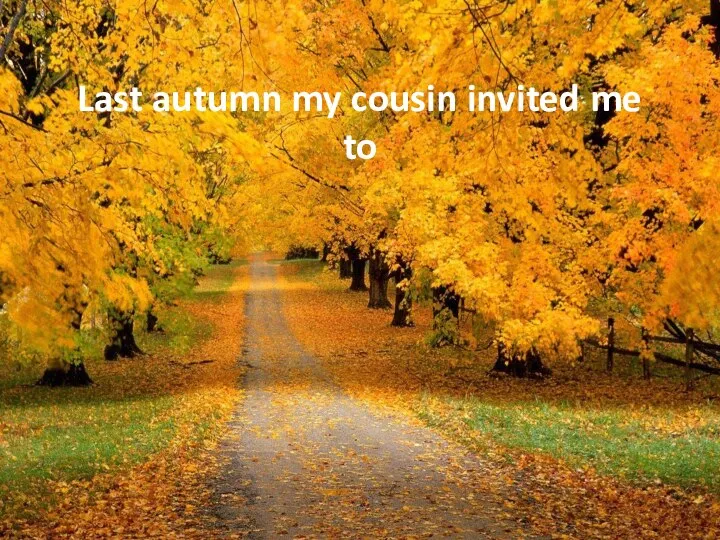 Last autumn my cousin invited me to