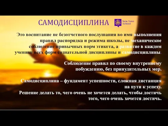 САМОДИСЦИПЛИНА Это воспитание не безотчетного послушания во имя выполнения правил распорядка и