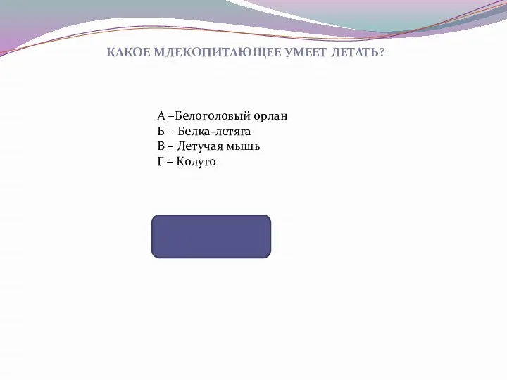 КАКОЕ МЛЕКОПИТАЮЩЕЕ УМЕЕТ ЛЕТАТЬ? А –Белоголовый орлан Б – Белка-летяга В –