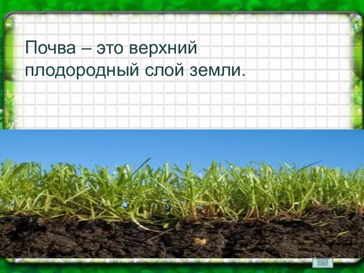 Почва – это верхний плодородный слой земли. Плодородие – главное свойство почвы.