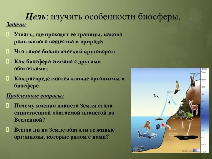 Цель: изучить особенности биосферы. Задачи: Узнать, где проходят ее границы, какова роль