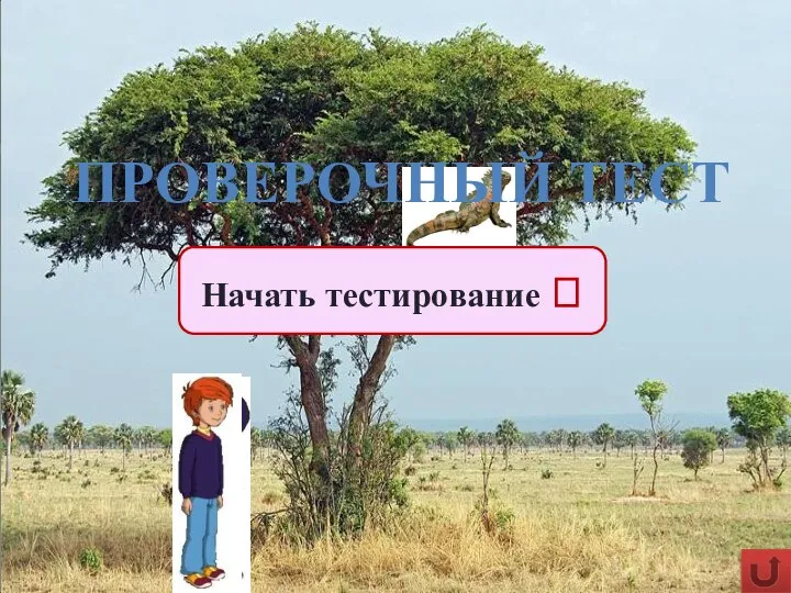 ПРОВЕРОЧНЫЙ ТЕСТ Начать тестирование ?