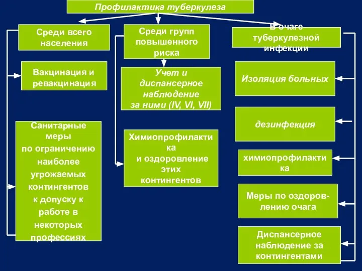 Профилактика туберкулеза Среди всего населения В очаге туберкулезной инфекции Учет и диспансерное