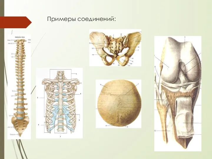 Примеры соединений: