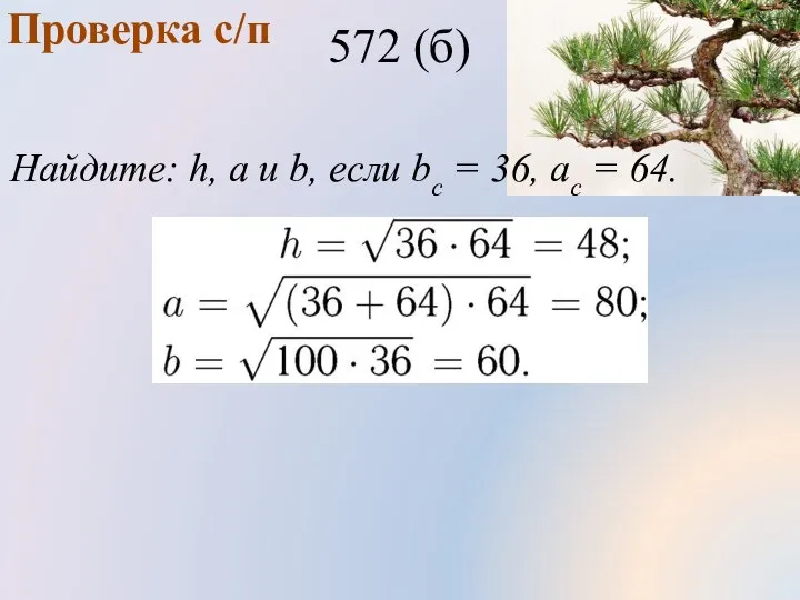 Проверка с/п 572 (б) Найдите: h, а и b, если bс = 36, aс = 64.