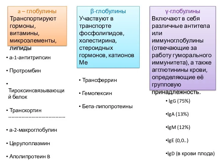 a – глобулины Транспортируют гормоны, витамины, микроэлементы, липиды β-глобулины Участвуют в транспорте