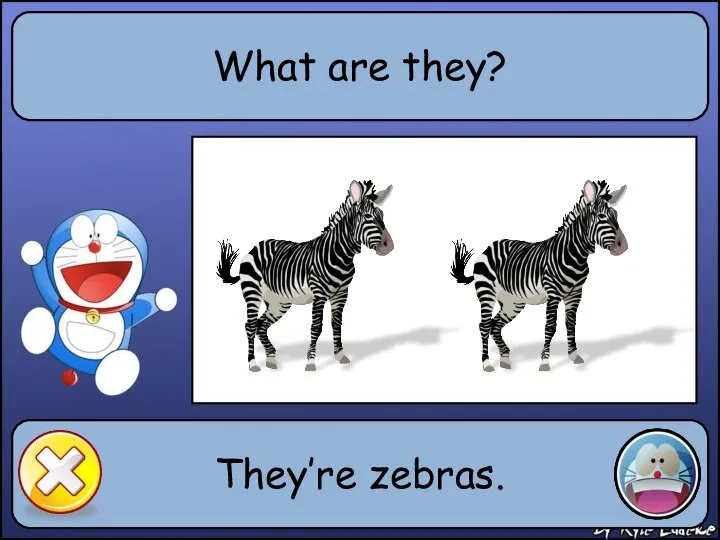 What are they? They’re zebras.