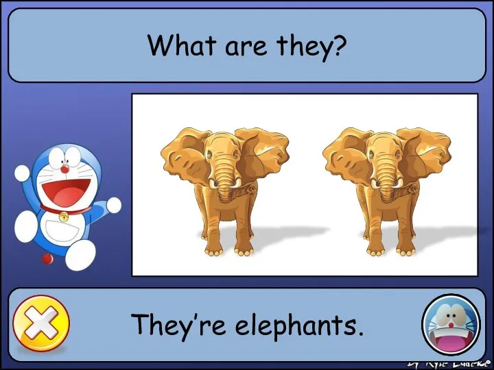 What are they? They’re elephants.