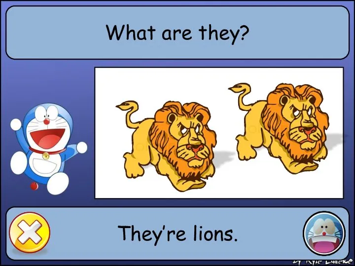 What are they? They’re lions.
