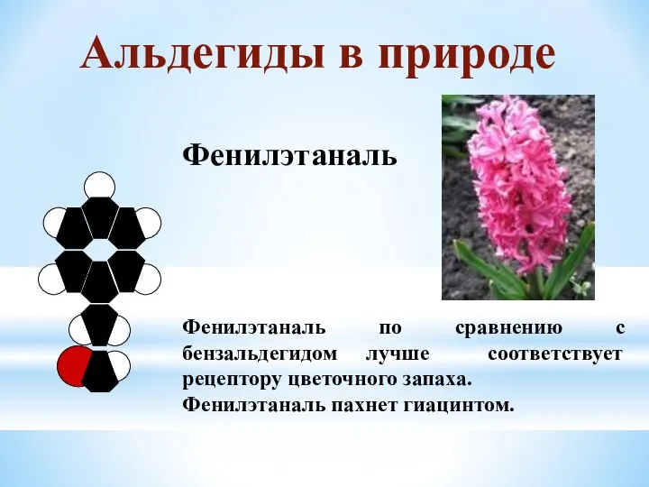 Фенилэтаналь Фенилэтаналь по сравнению с бензальдегидом лучше соответствует рецептору цветочного запаха. Фенилэтаналь