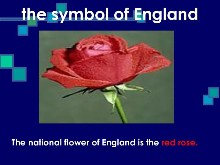 the symbol of England The national flower of England is the red rose.