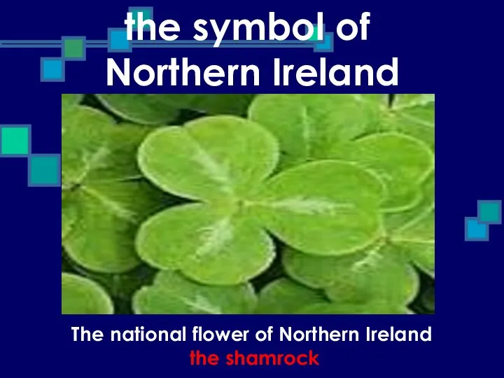 the symbol of Northern Ireland The national flower of Northern Ireland the shamrock