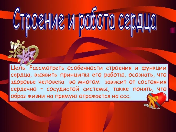 Строение и работа сердца Цель. Рассмотреть особенности строения и функции сердца, выявить