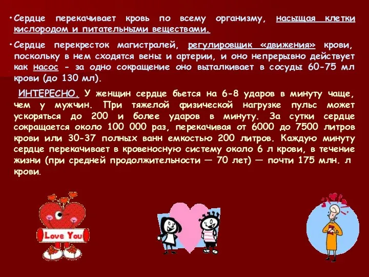 Сердце перекачивает кровь по всему организму, насыщая клетки кислородом и питательными веществами.