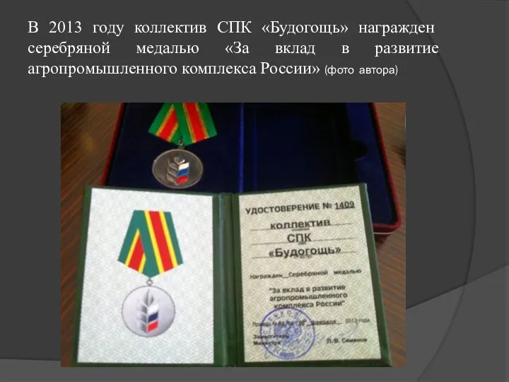 В 2013 году коллектив СПК «Будогощь» награжден серебряной медалью «За вклад в