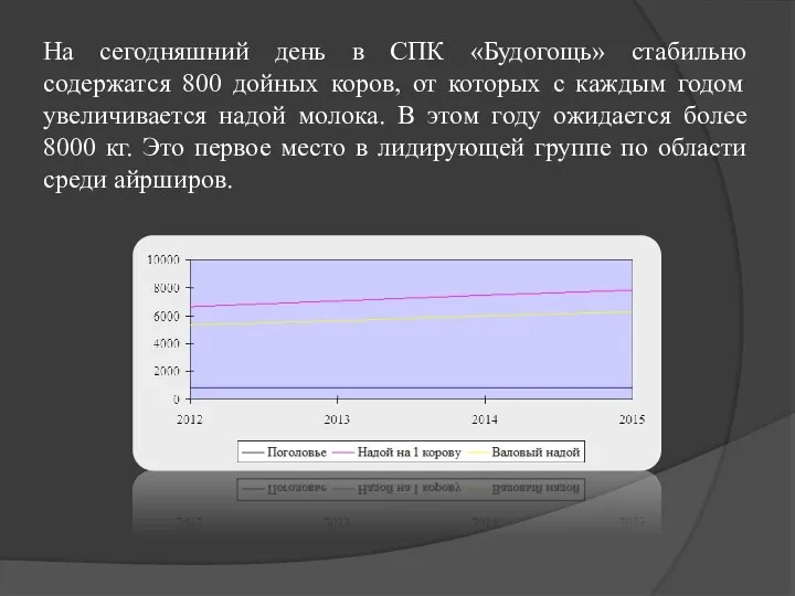 На сегодняшний день в СПК «Будогощь» стабильно содержатся 800 дойных коров, от