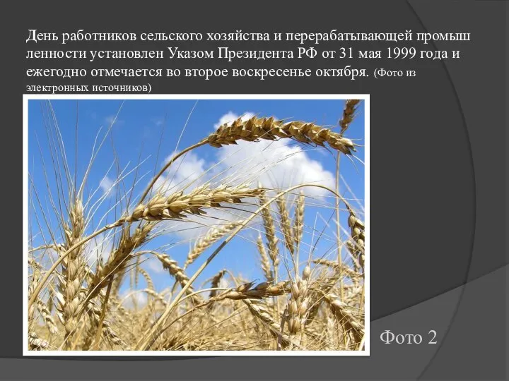 День работников сельского хозяйства и перерабатывающей промышленности установлен Указом Президента РФ от