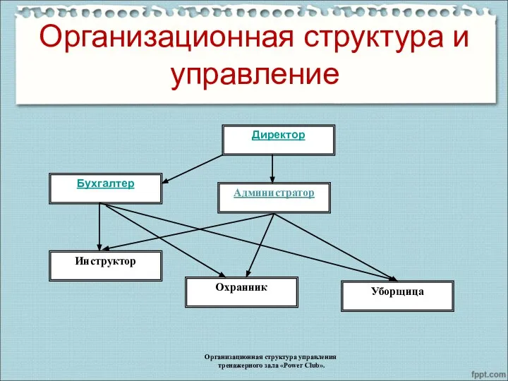 Организационная структура и управление