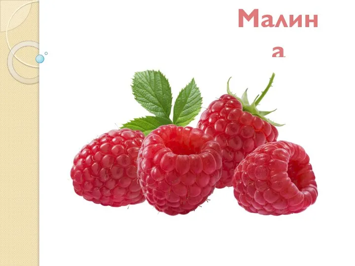 Малина