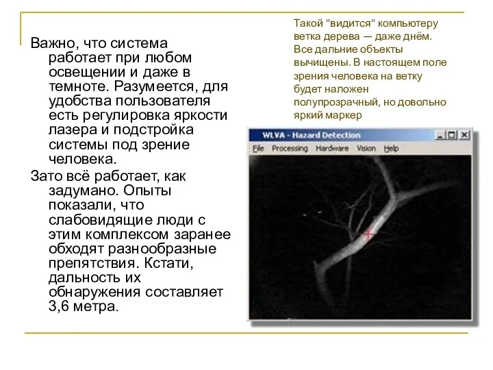 Такой "видится" компьютеру ветка дерева — даже днём. Все дальние объекты вычищены.