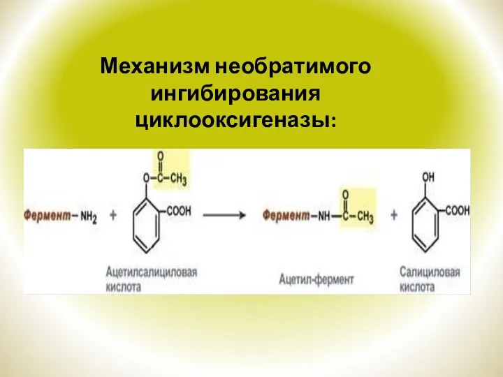 Механизм необратимого ингибирования циклооксигеназы: