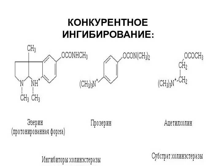 КОНКУРЕНТНОЕ ИНГИБИРОВАНИЕ: